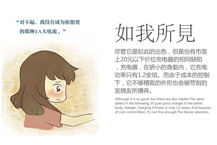 chargeur pour téléphones APPLE APPLE IPHONE6 PLUS - Ref 1291611 Image 25