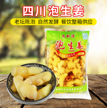 Sichuan specialty 2000g soaked ginger Shu Xin source ginger salt water stains