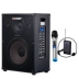 Âm thanh Migao MG1262 280W loa bass guitar / ban nhạc chuyên nghiệp biểu diễn âm thanh - Loa loa loa remax Loa loa