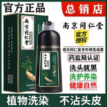 Nankin Tongrentang Dyeing plante Shampoo pure non colorée au cuir chevelu naturel aucune marque irritante Dye Hair Cream Bubble