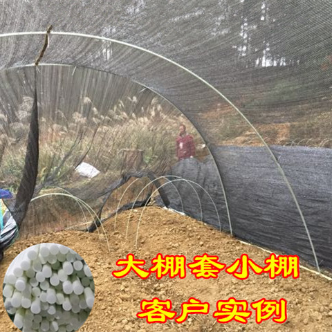 Between 5 and 6 meters of glass fiber elastic rod arch stent for vegetable floral sprout bar
