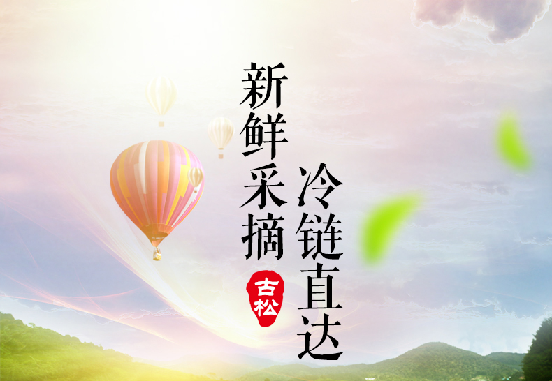 古松 新鲜银耳 白木耳 6朵盒装 图2