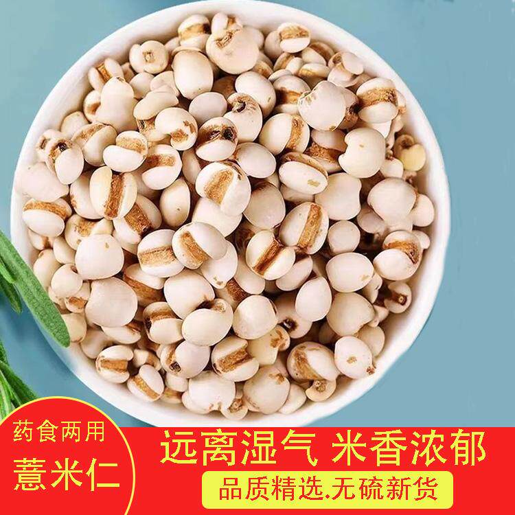 中药材 薏苡仁贵州薏仁米新货薏米仁药用生薏米500g克 另有炒薏仁