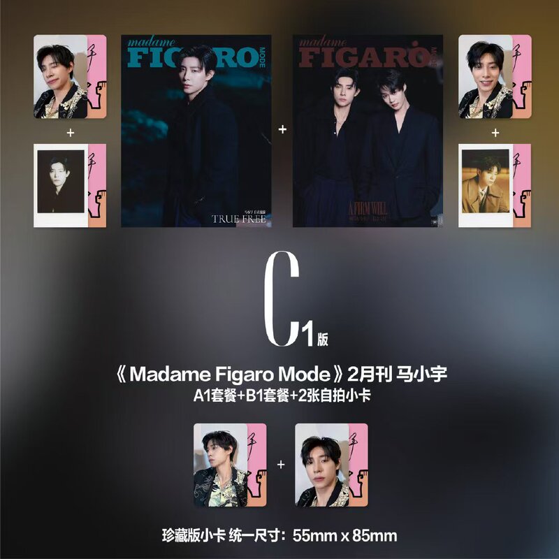Figaro February Issue Official C Version 1/2/3/4 Set: A+B Cover + 2 Bonus Photocards + 2 Polaroids + 2 Selfie Cards Madamefigaromode Figaro Magazine February 2025 Figaro February Issue Official C Version 1/2/3/4 Set: A+B Cover + 2 Bonus Photocards + 2 Polaroids + 2 Selfie Cards Madamefigaromode Figaro Magazine February 2025