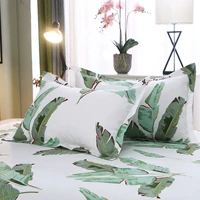 Secret Realm [Core Core Core+Case] ​​One Pack