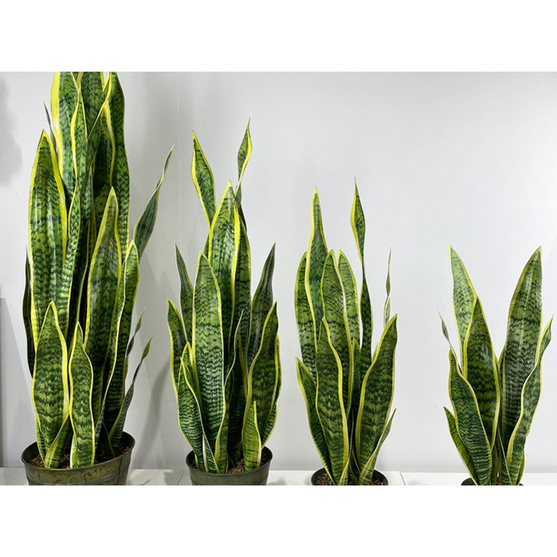 Simulated Snake Plant, Nordic Tropical Plant, Agave, Succulent Single Stem, Simulated Green Plant, Flower Arrangement Prop