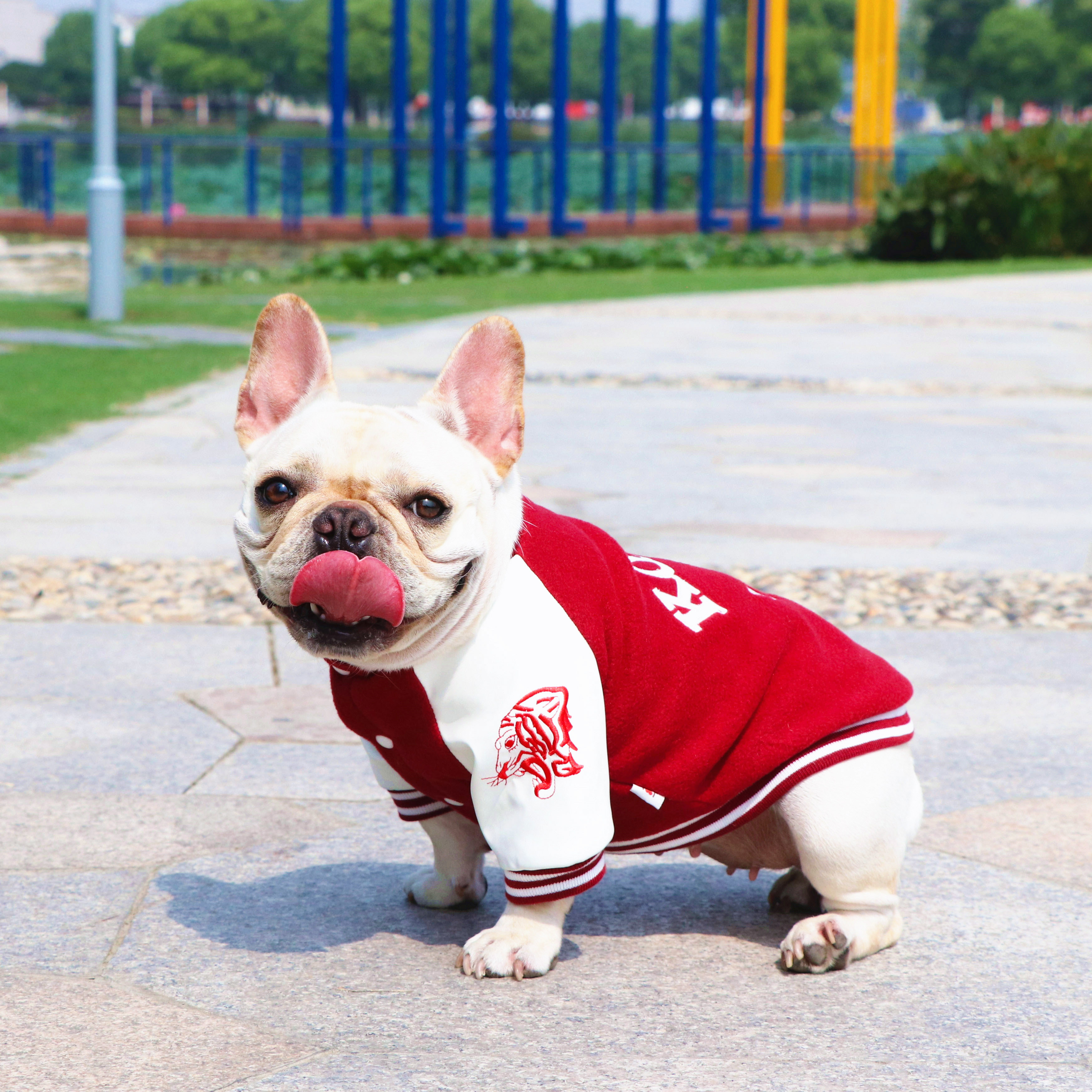 Dogs clothes spring autumn and winter clothing French dogs Kirky Snow Narey clothes Puppy dog baseball clothes Jacket Tide perch