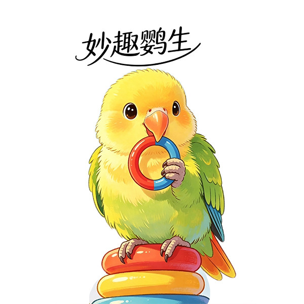 妙趣鹦生