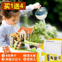 Childrens Day gift planting puzzle handmade diy material package 61 kindergarten early education educational toy 3-6 years old