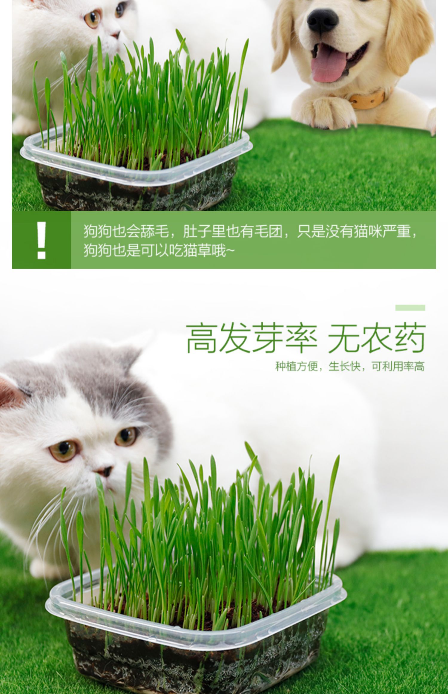 Crystal cat cỏ đặt bóng tóc để giúp tiêu hóa chất lỏng dinh dưỡng catnip mèo cưng mèo ăn nhẹ để gửi đồ chơi - Đồ ăn nhẹ cho mèo thức ăn mèo con