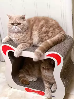 Large cat scratch board cat nest carton grinding claw wear-resistant chips