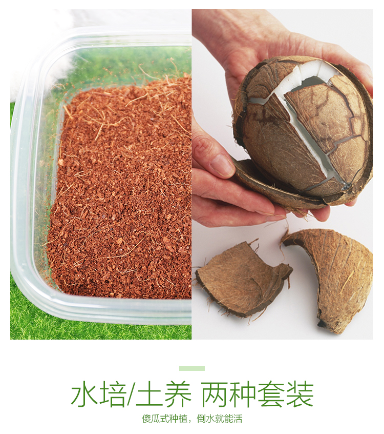 Crystal cat cỏ đặt bóng tóc để giúp tiêu hóa chất lỏng dinh dưỡng catnip mèo cưng mèo ăn nhẹ để gửi đồ chơi - Đồ ăn nhẹ cho mèo thức ăn mèo con