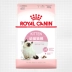 Royal Cat Food Cat Cat Food Cat Food Pet Food Cat Food Cat Thức ăn chính K36 / 0.4KG mua thuc an cho meo Cat Staples