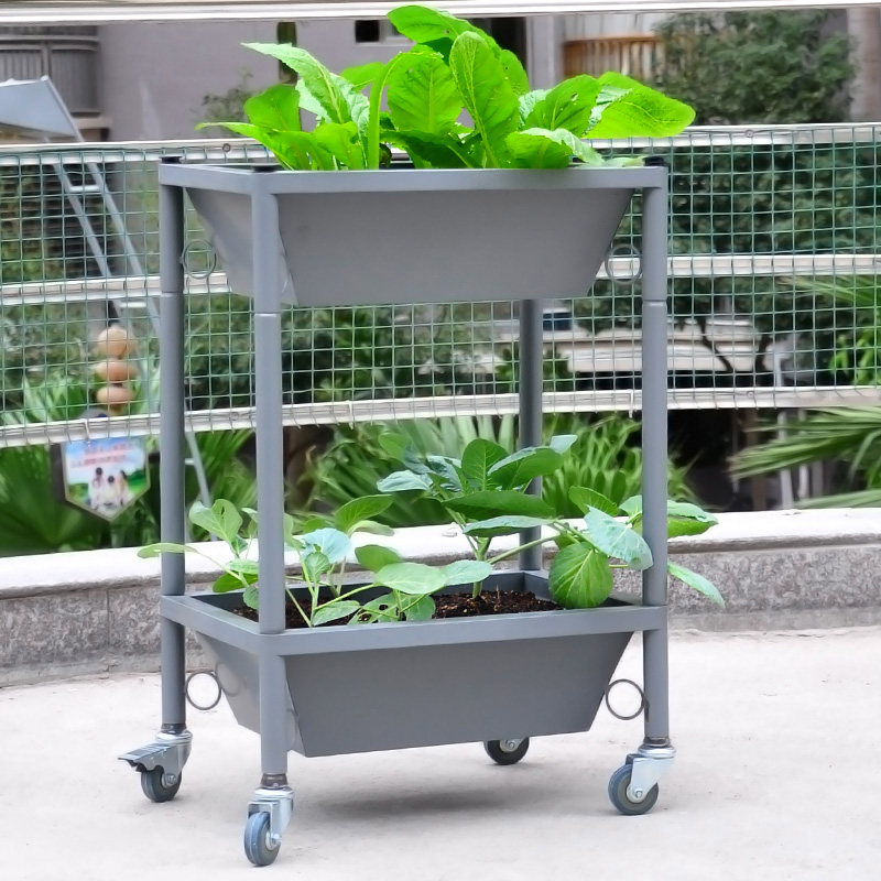 �������մ��⻨��XY360