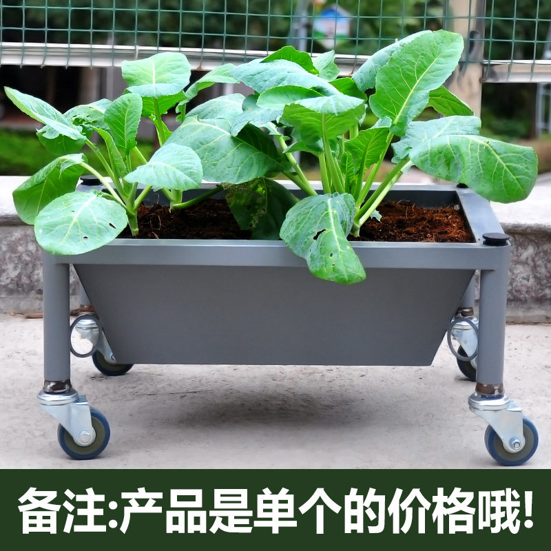 �������մ��⻨��XY360