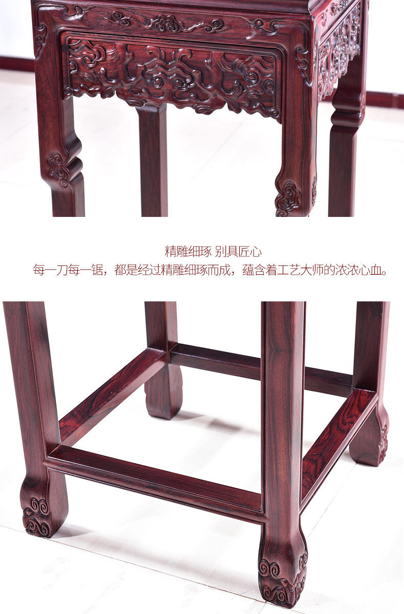 Ganoderma lucidum_14.jpg