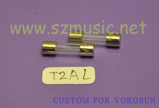 Import fuse T 2AL 250V 5 x 20 Insurance pipe fuse