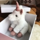 Pink Unicorn Gift Box