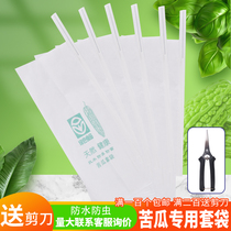 Loofah cucumber Cucumber Bitter melon bagging special bag insect-proof bag protective cover Paper bag waterproof fruits vegetables and fruits