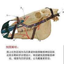 Irish Horseware-Micklem Water Leather British Cowhide Water Leather Lodge Horseware 8218077