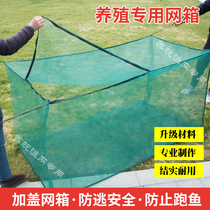 Customized 10 mesh cage breeding cages for loach eel lobster and crab cages for fish farming anti-escape cages fish fry cages