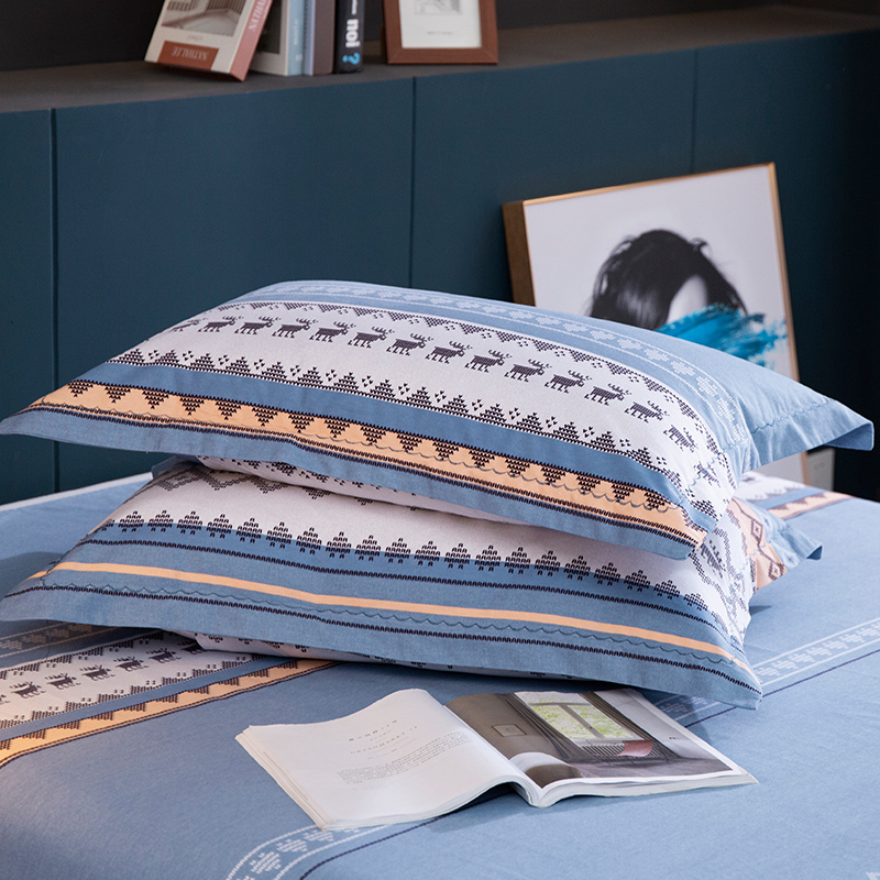 Pillow single with pillowcase a pair of cotton ins student dormitory cotton thickened brushed Nordic cute girl