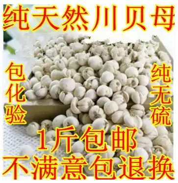Chuanbeimu Chuanbeimu Chuanbeimu Chinese herbal medicine Pearl shellfish Sichuan direct grinding Chuanbeimu powder 500g