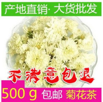 New Cargo White Chrysanthemum July Chrysanthemum 500g 500g Yellow Mountain Gongju Chrysanthemum Tea Tribute Chrysanthemum Tea