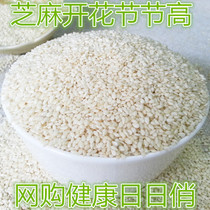 White sesame new goods Sesame seeds no addition no bleaching farm self-grown white sesame raw sesame seeds 50g 1 catty