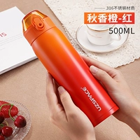 4201 Осень Оранжево-Ред-500 мл