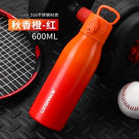 Апельсин, портативная ручка из нержавеющей стали, 600 мл