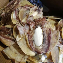 Wenzhou specialty dried squid dried squid dried squid dried squid dried seafood fried and stewed 500g