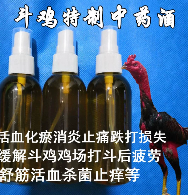 药酒 斗鸡 斗鸡 wine Rượu thuốc Trung Quốc 用品 - Chim & Chăm sóc chim Supplies long chim chao mao dep