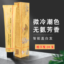 Dye Cream Barber Shop Special Single Branch Microtide Color Cover White Hair Dye Hair Salon Hair Salon Single Color Paste Hair Dye Wholesale