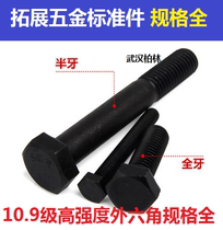 10 Class 9 hexagon screw High strength hexagon bolt screw M24*50 60 70-140-220