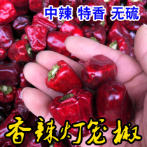 Medium spicy special fragrant red bell pepper 250g red pickled pepper dried pepper spicy pot hot pot seasoning Red pepper