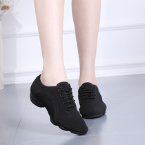 Square dance shoes 2021 New soft-bottom Latin dance shoes women Summer Specials outwear Fruit no Gittbae dance shoes