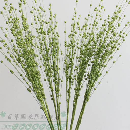 �ٲ�԰�ɻ����廨��