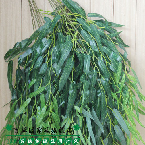 �ٲ�԰�ɻ����滨