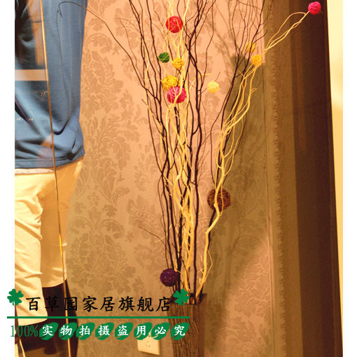 �ٲ�԰�����ɻ�