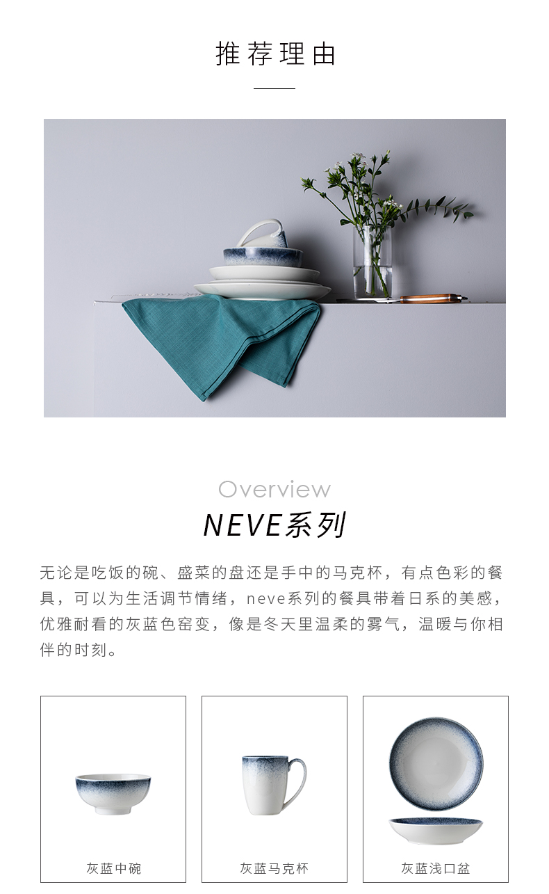 Eat them neve grey - blue dish dish dish household net HongCan dish creative dishes cup wind tableware ceramics northern Europe