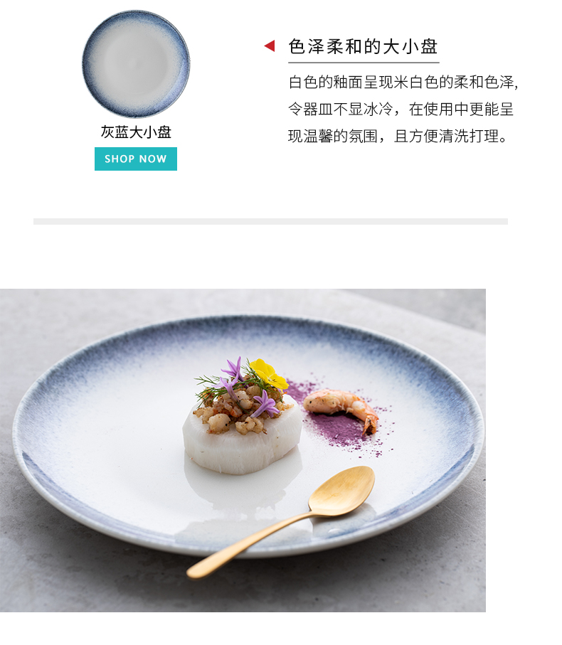 Eat them neve grey - blue dish dish dish household net HongCan dish creative dishes cup wind tableware ceramics northern Europe