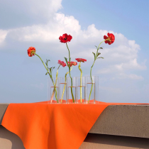 PRINT:HII patent design Rosen bridge series transparent florin hydroponic decorative pendulum vases