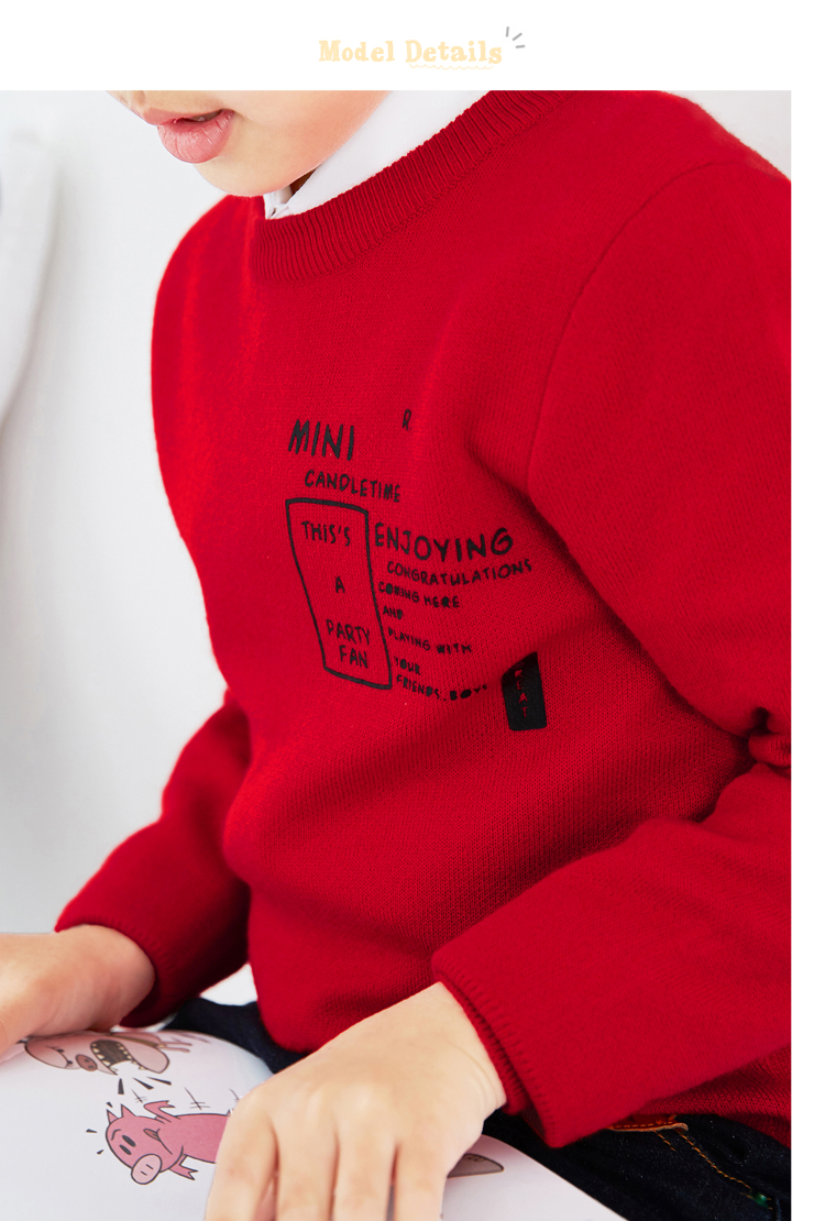 Pull garcon MINI PEACE à manche longue - Ref 2101306 Image 32