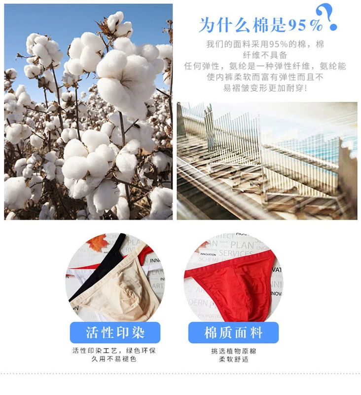 Quần cotton nam U lồi đồ lót eo thấp nam gợi cảm đồ lót đỏ đỏ sinh nhật tóm tắt trong suốt quần lót nam cotton