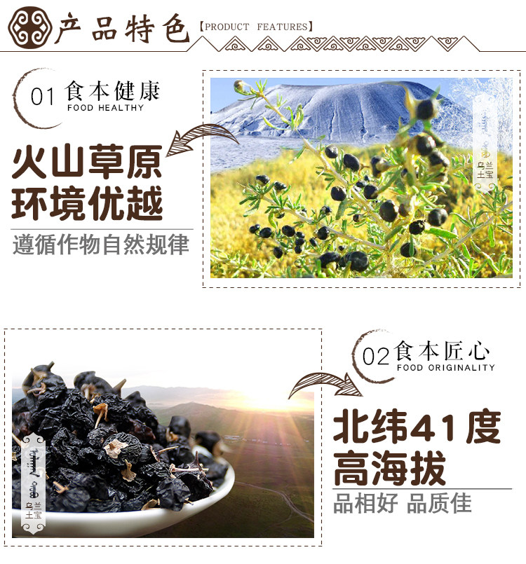 Black Wolfberry-Details 2_03.jpg