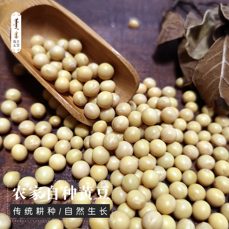 Soybean farmhouse Self-planted soybean Soybean Milk special soybean Non-genetically modified Five Valley Cereals 500g Fine Clothing