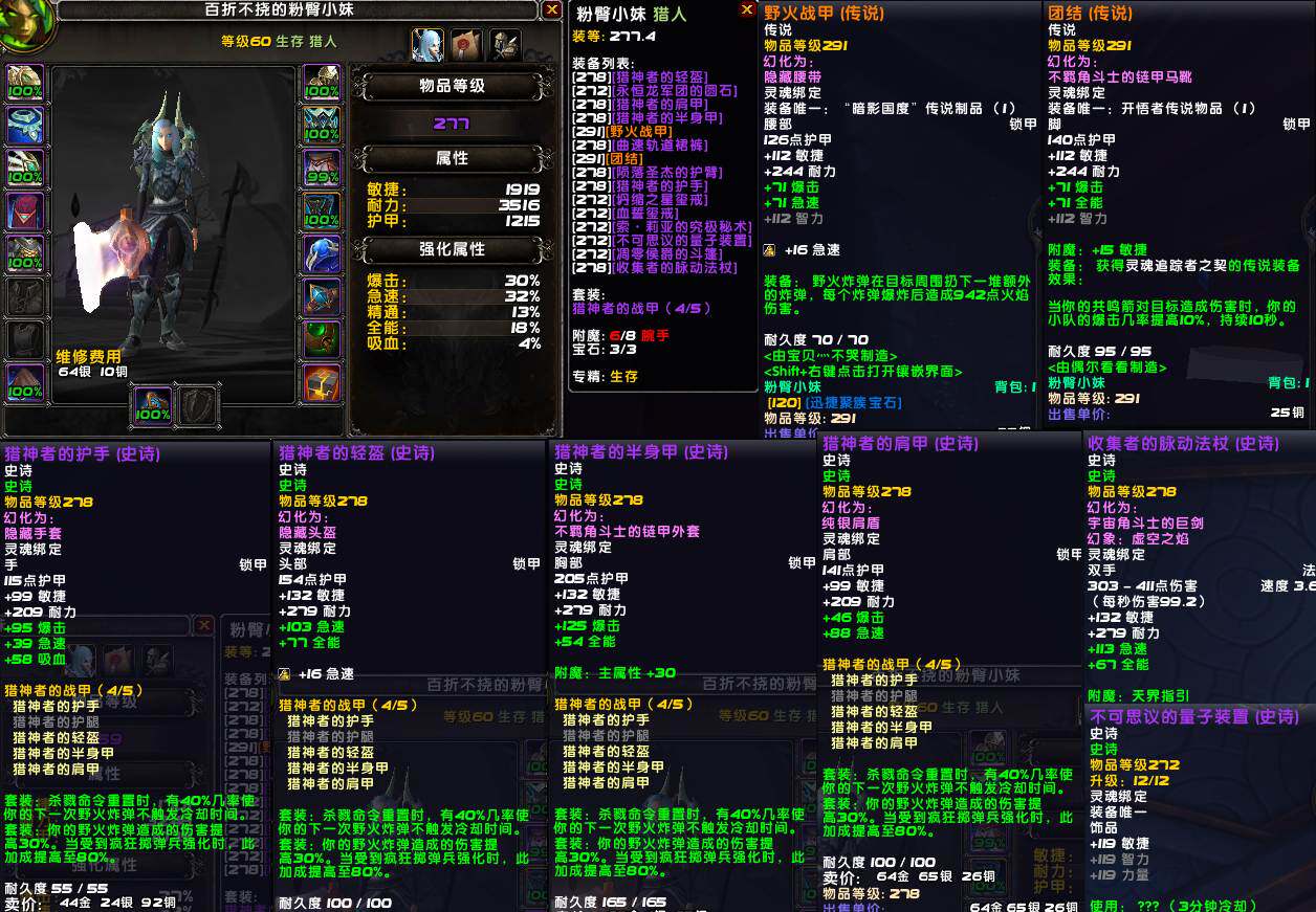 The Warcraft World Account Number Hunter 277 Mount Etc 278 Four Pieces 291 Sets 291 Pair Orange Phoenix Pure Blood Fire Crow Multirole