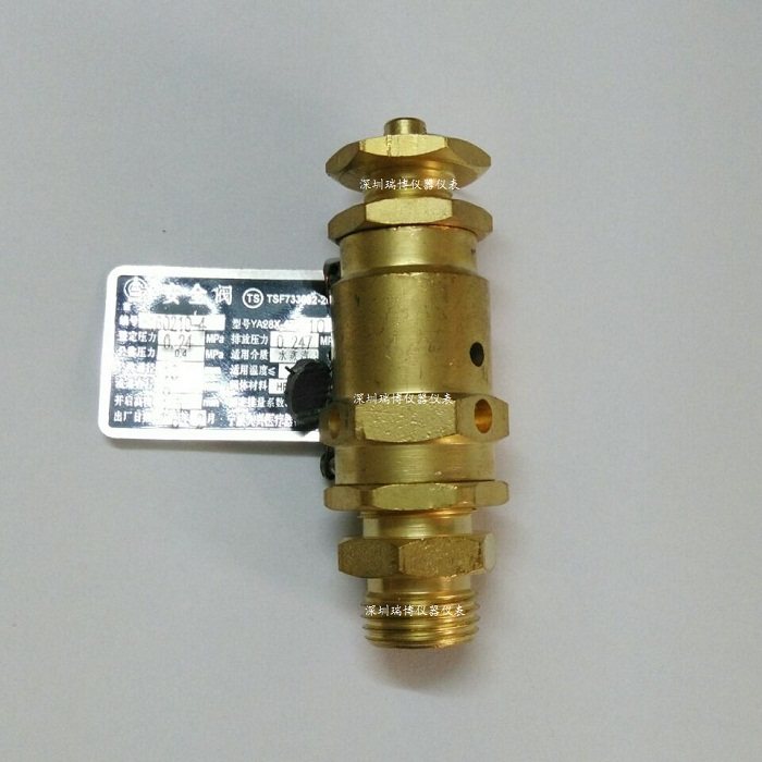牙科台式蒸汽灭菌器安全阀/高压消毒锅配件