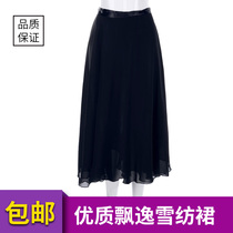 Dance skirt gauze skirt dress teachers body classical dance body practice female adult ballet dress